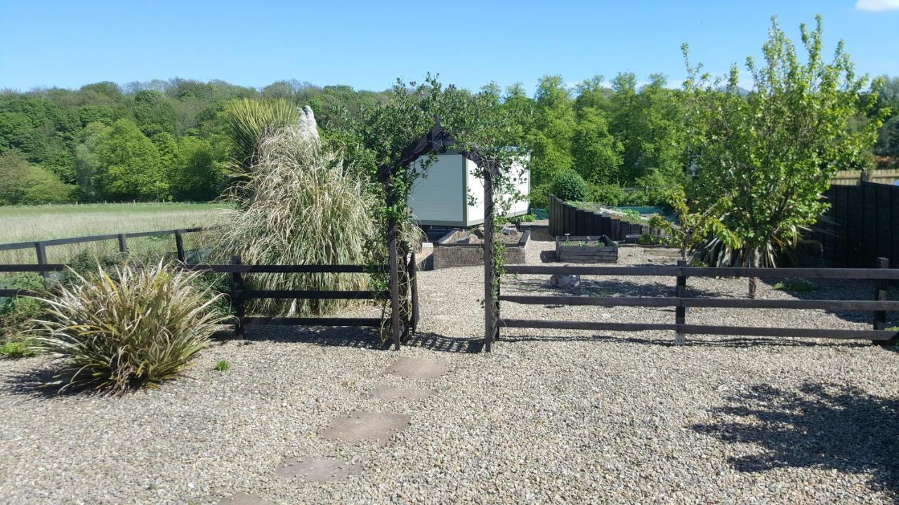 Sheepwash Shepherds Hut Bebside Buitenkant foto