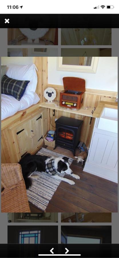 Sheepwash Shepherds Hut Bebside Buitenkant foto